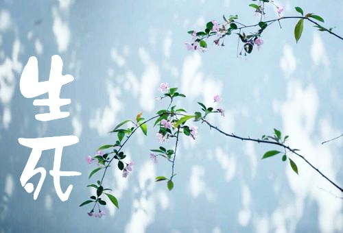 觉海文集—生死大事