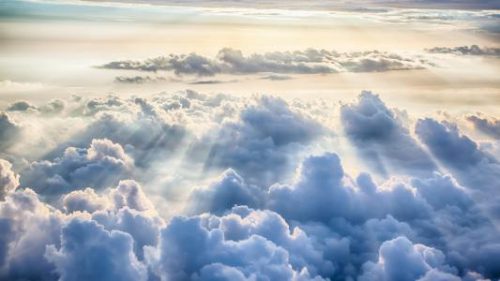 明信因果,人间大爱