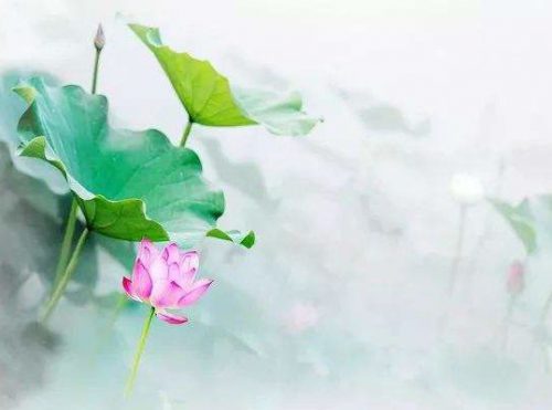 念珠有没有去向南无观世音菩萨报告有什么关系呢?
