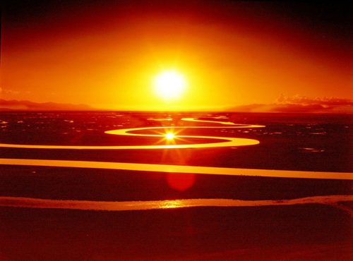 心路,该何去何从