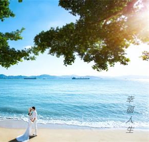 佛化家庭的素席婚礼