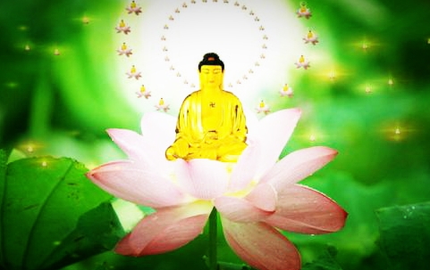 一位女士的堕胎经历及深彻忏悔