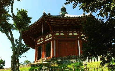 杀蛇之后厄运灾难不断