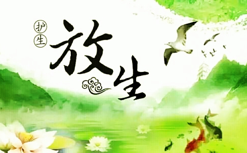 佛教为什么倡导放生?