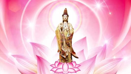 学佛修行-观世音菩萨圣诞日放生