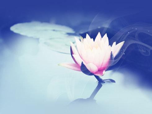 略述人生八苦