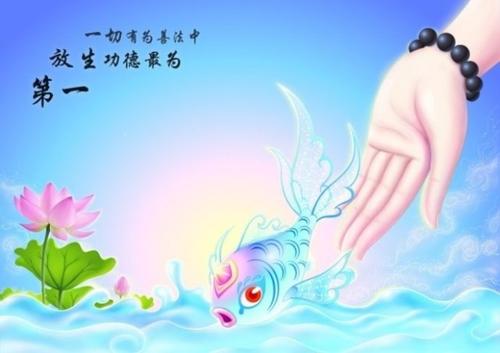 放生功德殊胜行