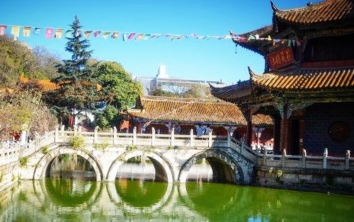 放生遇危机,我灵机一动大声持诵《心经》以及佛号