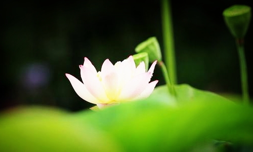 父亲临终的惨状让我深信因果