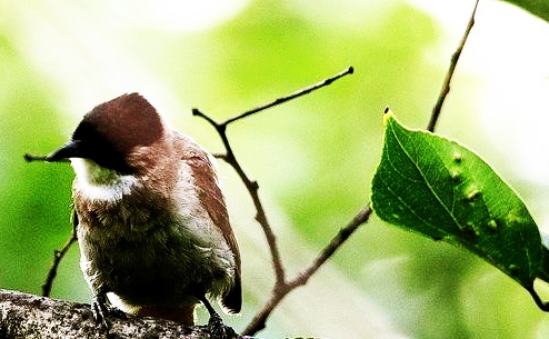 当放生成为一种“瘾”,我难以控制内心的“蛮横”