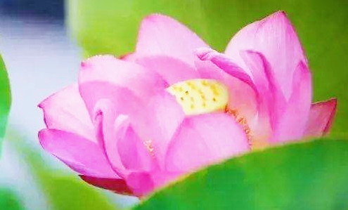 影响他人总是从改变自己开始的