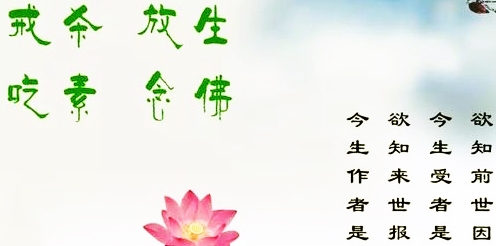 我对放生的浅见 从生命与慧命谈起