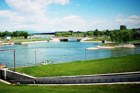 佛教徒为抗疫牺牲的烈士和逝世同胞们放生