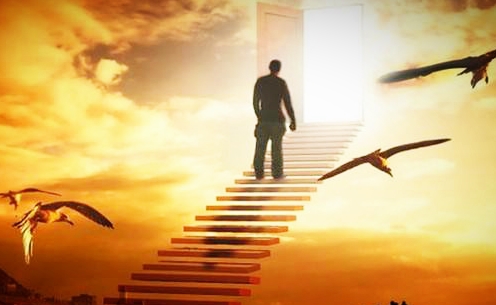 学佛修行慈悲始于小善:看到路边奄奄一息的动物,你会怎么做?