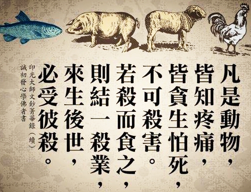 二十载光阴假修行,得遇佛法开示走出不杀生的误区