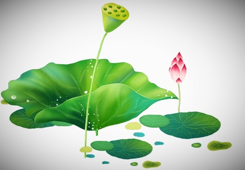 癌症末期 放生痊愈