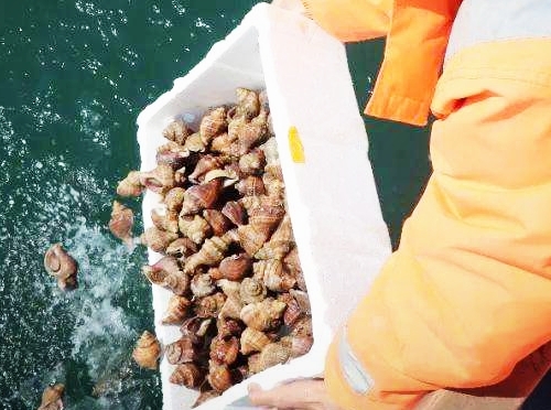 放生念佛治好了我的两种绝症