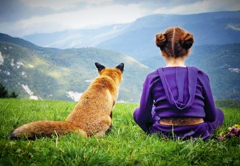 动物也有恩爱孝慈的家,动物众生平等皆有佛性