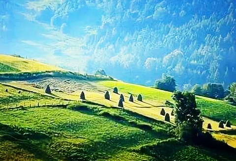 学会管理好自己的情绪,于人于己都有利