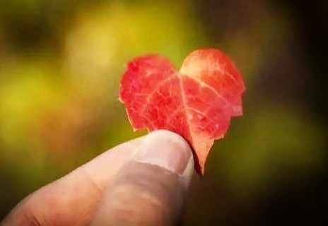 做人要懂得与人为善,路才会越走越宽