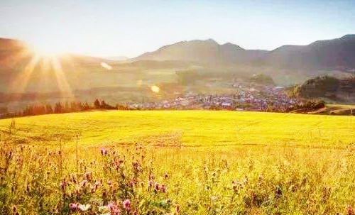 长养慈悲,正信修行