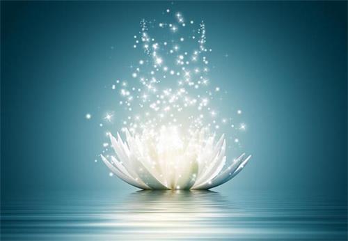 心念正,不杀生,佛法让蟑螂搬出我家