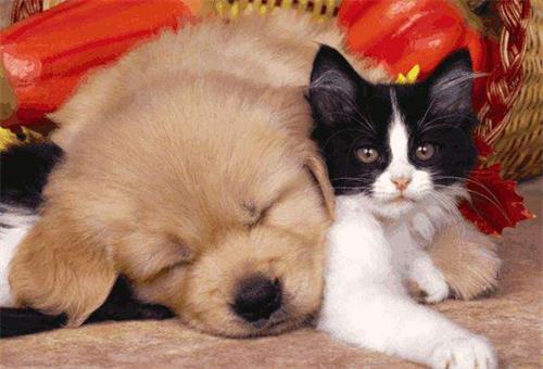 每个生命我们都要尊重，生命无价