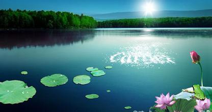 因果不昧，何以教人