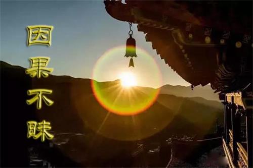 一切利益都是黑业,与弟弟做生意反目成仇