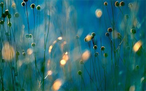 生命的意义是自身创造了多少价值