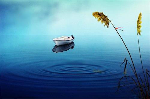 连续护生一个周，奇迹发生了