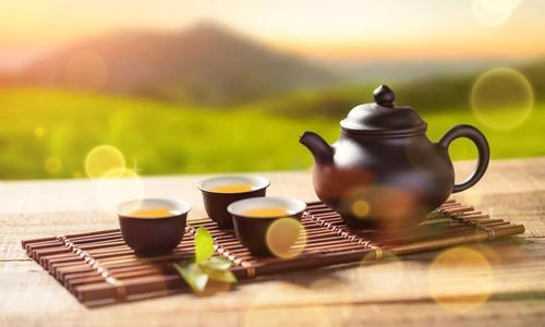 不经历风雨，又怎能见松柏之挺拔