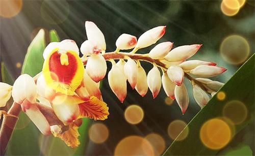 没有百分的努力,别想有理想生活