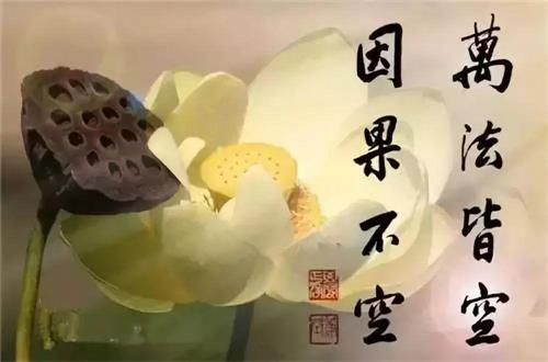 面对批评如何应对才能真正进步 ?