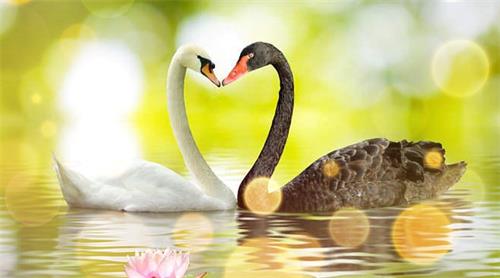 当地有“家中老人去世不能串门”的风俗,可以去闻法吗?