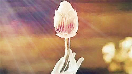 一旦拥有这样的人生软实力,你千万别放手