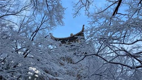 “贡高我慢”者为何终究难成大事?