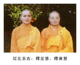 淹死的蜜蜂长起翅膀飞走了