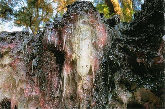 第三世多杰羌佛工巧明展显之玄妙彩宝雕