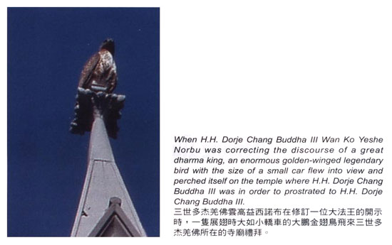 大鹏金翅鸟礼拜