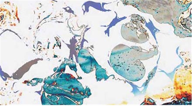 第三世多杰羌佛工巧明展显之西画
