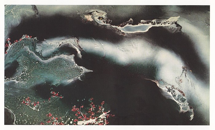 第三世多杰羌佛工巧明展显之西画