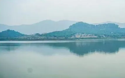 放生见蛇跳舞后,我的生活从此改变