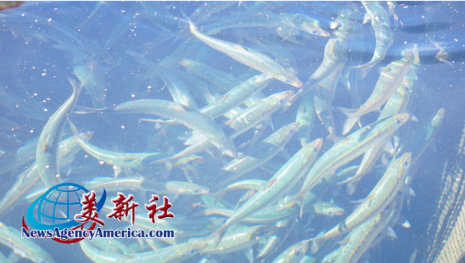 全球佛弟子共庆「H.H. 第三世多杰羌佛日」