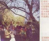 天降奇迹 烈日当空无滴雨 木棉树降香雨能听话