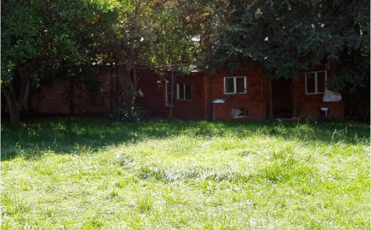 时隔多年，我那些  黑压压的蚂蚁又浮现在眼前