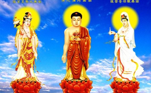 慈悲的放生，改变我的一切