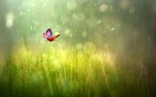 学佛的好处，要亲身经历，才能相信