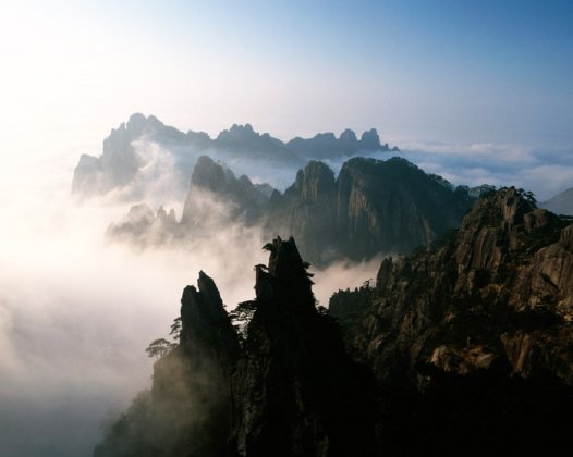 因果故事 ▏他见到那头脏兮兮的猪,为什么摇头而笑?