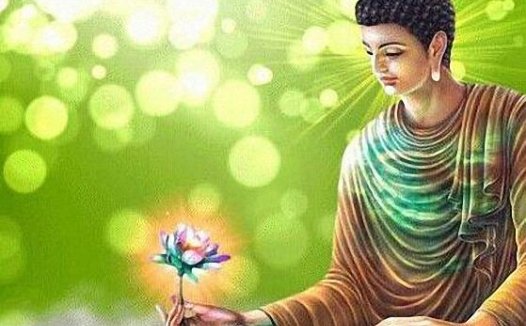 面对批评如何应对才能真正进步 ?